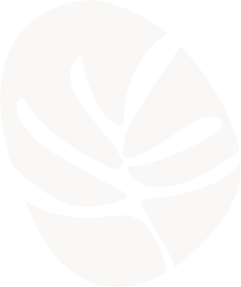 Vector